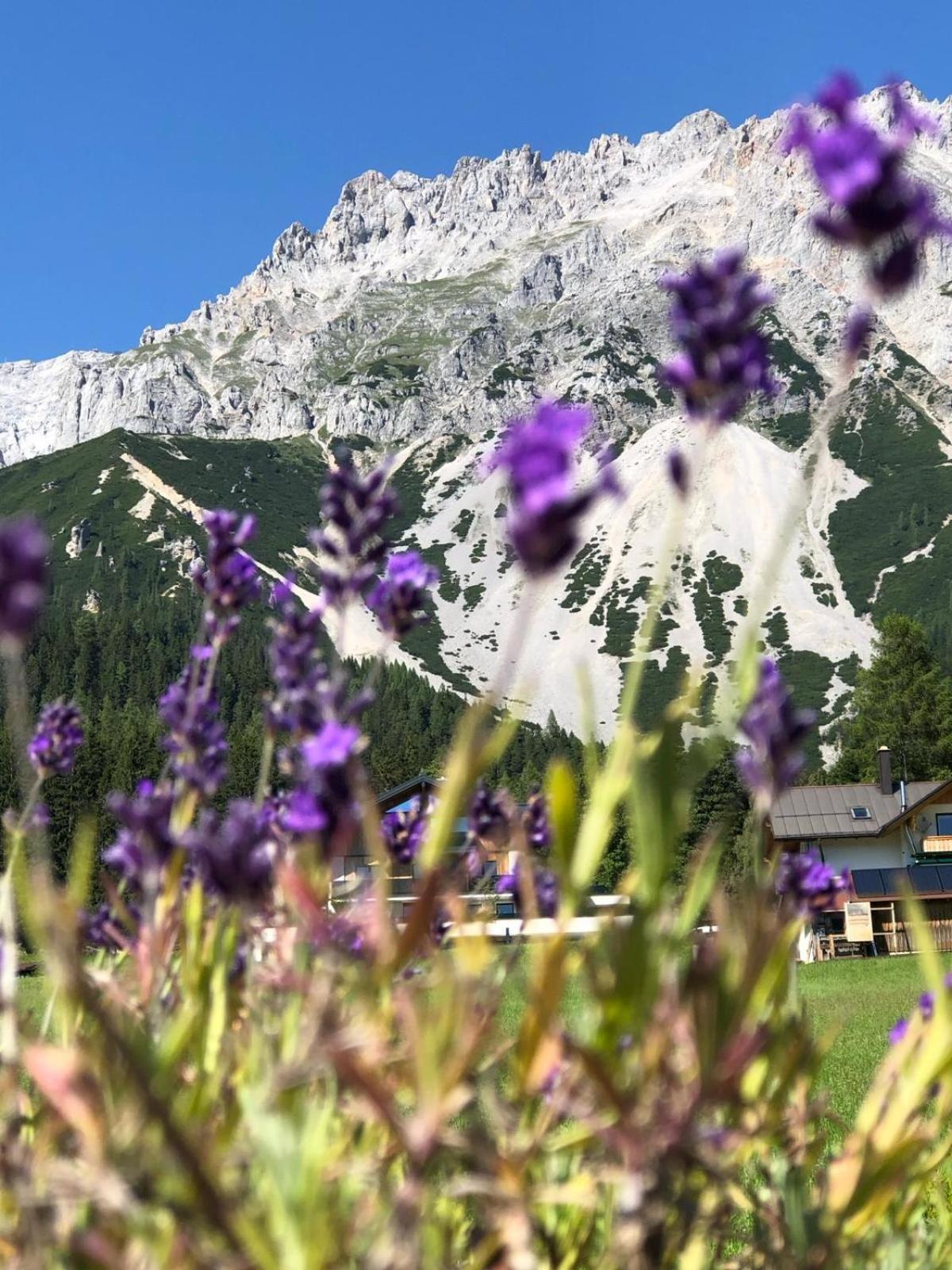Club Villa Ramsau am Dachstein Esterno foto